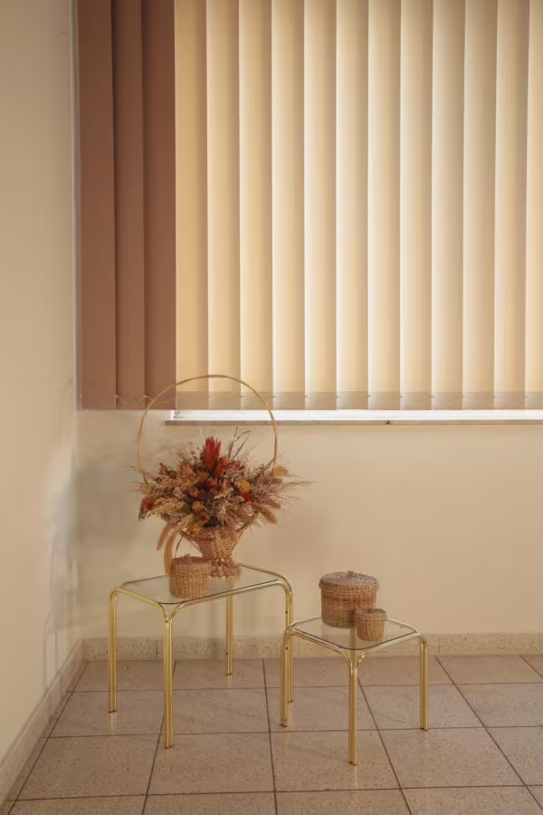 Vertikální žaluzie